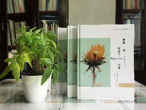 編寫設(shè)計一本畫風清奇的中學畢業(yè)生紀念冊-同學錄制作-成都外國語