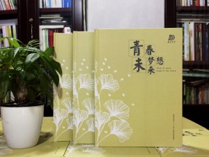 大彎中學(xué)2017屆畢業(yè)紀(jì)念冊(cè)定制-畢業(yè)照片書