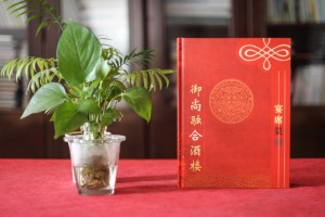 宴會(huì)宴席菜單設(shè)計(jì)制作 有中國特色的酒樓菜譜設(shè)計(jì)制作案例