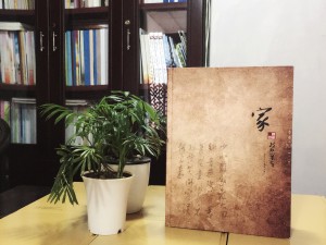 陳氏個性圖文家譜-個性創(chuàng)意族譜設(shè)計(jì)制作