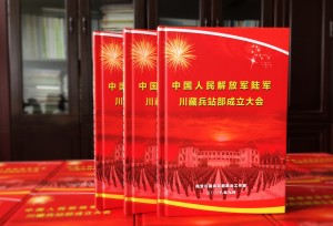 制作精美的光盤(pán)收納包裝盒,單碟,多碟,帶封套DVD/VCD光盤(pán)盒印刷