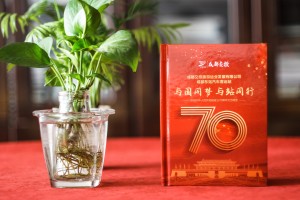 成都精裝cd盒印刷制作-單位文藝晚會視頻刻錄成光盤,哪里做包裝盒