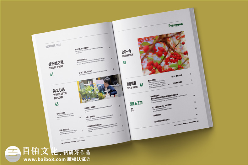 企業(yè)內(nèi)刊設(shè)計-內(nèi)刊排版怎么做有規(guī)范