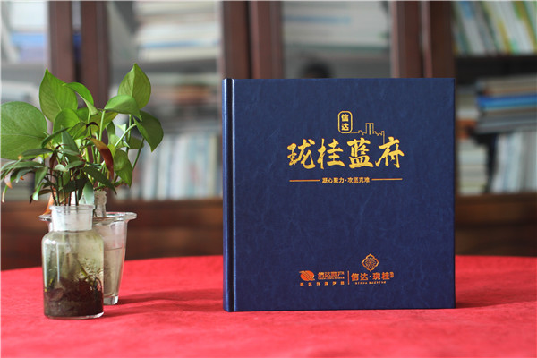 項(xiàng)目回憶錄紀(jì)念圖冊-工程建設(shè)項(xiàng)目施工宣傳冊