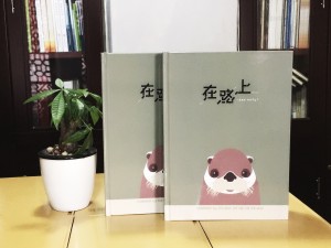 二十周年結(jié)婚紀(jì)念冊-相愛二十年紀(jì)念相冊