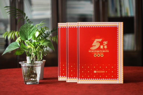 單位十周年慶紀(jì)念相冊(cè)方案-企業(yè)周年冊(cè)怎么設(shè)計(jì)比較大氣