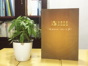 歐伯樓梯產(chǎn)品宣傳畫冊設(shè)計-家居產(chǎn)品宣傳冊制作