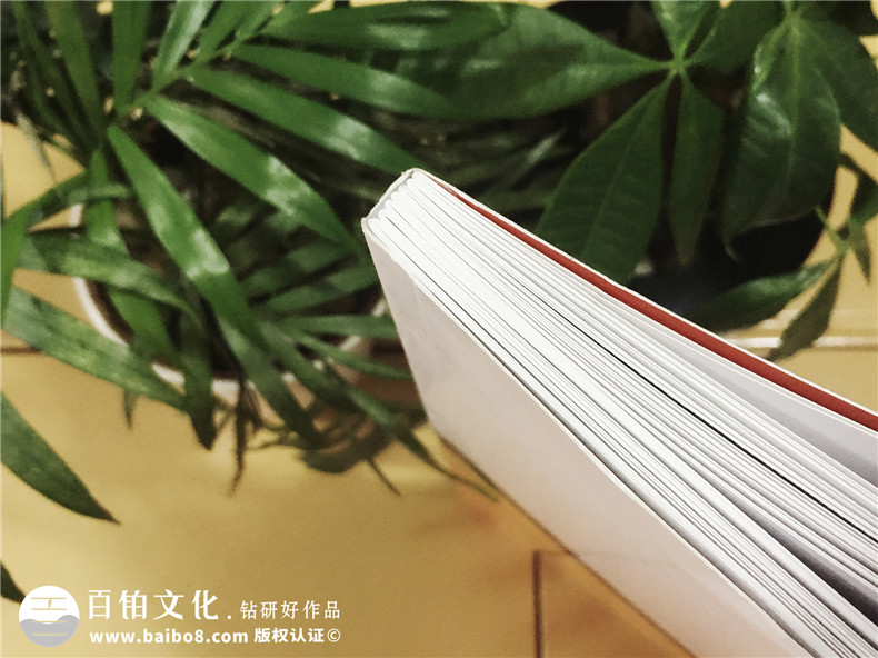 陶格個(gè)性定制藝術(shù)背景墻-產(chǎn)品宣傳畫冊設(shè)計(jì)