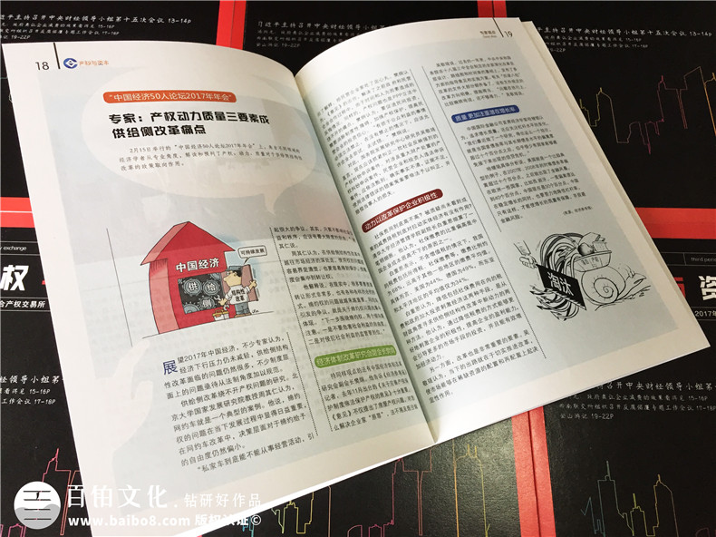 《產(chǎn)權(quán)與資本》企業(yè)內(nèi)刊設(shè)計(jì)-公司形象畫冊(cè)