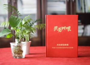 新冠病毒抗疫紀(jì)念相冊設(shè)計(jì)-送奮戰(zhàn)在疫情前線領(lǐng)導(dǎo)同事的留念畫冊