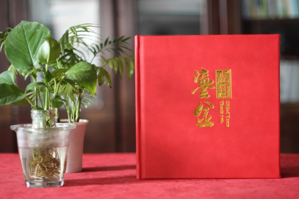 人社局長退休離任紀(jì)念相冊-領(lǐng)導(dǎo)干部任職期間工作回憶畫冊